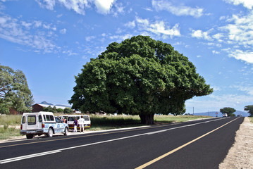 Vicinanze a Cape Town