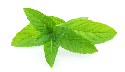 Fresh mint