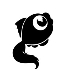fish in sea