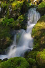 rivière de montagne