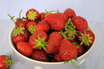 Erdbeeren in Schale