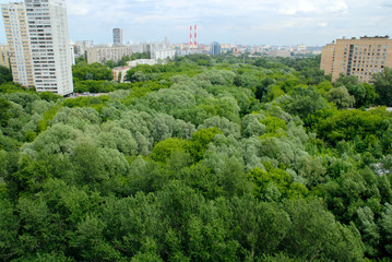 Obraz premium Park in the city