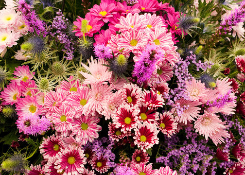 Bouquet of Flowers