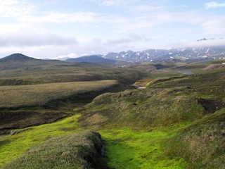 Fototapeta premium OLYMPUS DIGITAL CAMERA