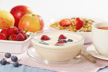 yogurt with fresh berries