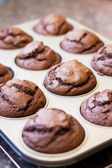Twelve chocolate muffins cooling off