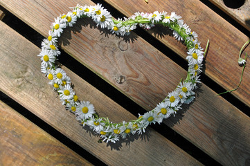 Heart symbol made of daisies