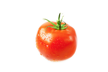 tomatoes with water drops isolated on white