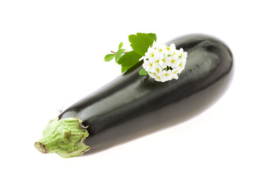 eggplant and a flower isolated on white