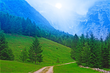 Obraz premium Blue mountain forest in misty clouds. HDR image