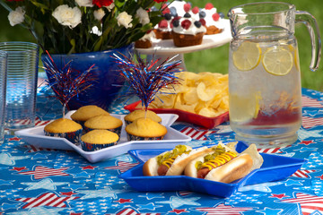 4th of July picnic