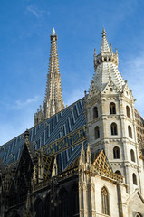 der Stephansdom in Wien