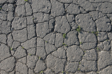 Road broken by the hard weather conditions. Hot and dry.