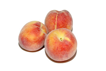 pêche