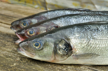 Seabass on the wooden background