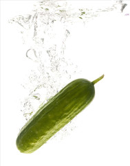 grüne Gurke im Wasser