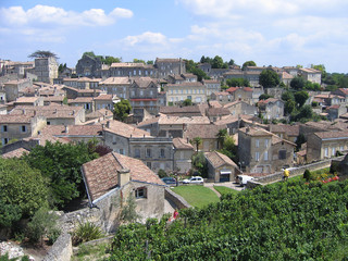 Obraz premium Vignoble au centre de Saint Emilion
