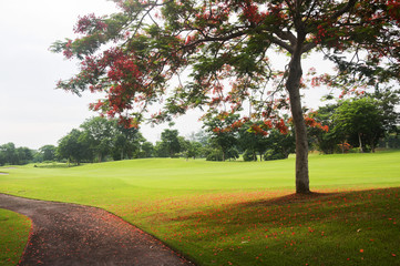 Golf Greens