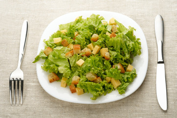 Close-up of salad on white plate