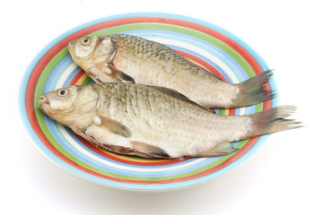 purified carp