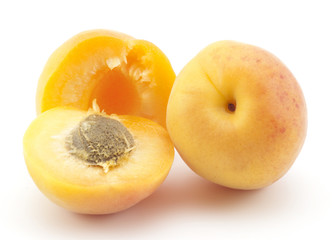 apricot yellow