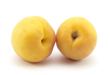 apricot yellow