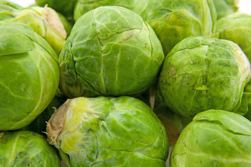 Fototapeta premium Brussels sprouts in closeup