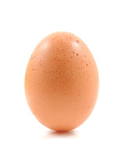 One brown chicken egg standing straight up