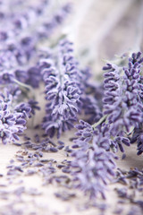 Fototapeta premium Lavendel und Blüten