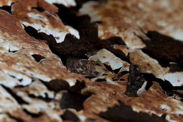abstract rusted grunge background