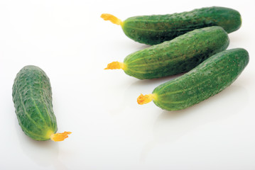 cucumber