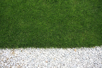 background of Green grass and white Cobblestone