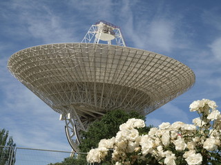 Antena parabólica y flores en España © Javier Cuadrado