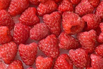 ripe raspberry background
