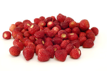 fresh wild strawberries