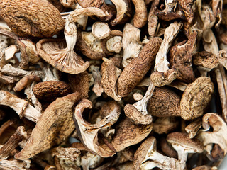 Dried mushrooms