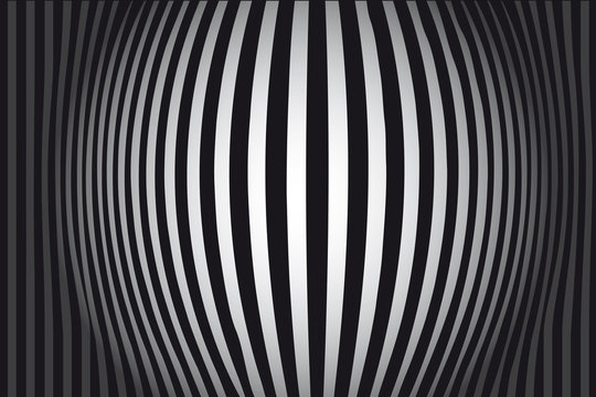 Black and White background vector Zebra
