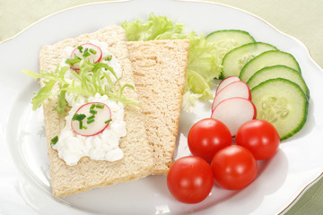 Fototapeta na wymiar Dietetic sandwich