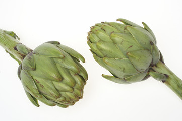 Obraz premium artichokes