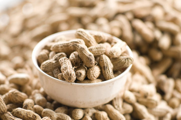 peanuts in the white bowl