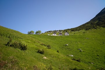 Fototapeta na wymiar Alpine landscape with green grass