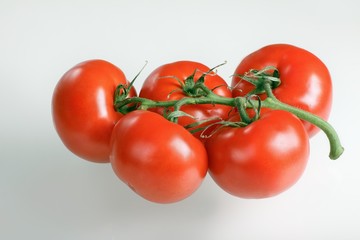 Fresh tomatoes over white