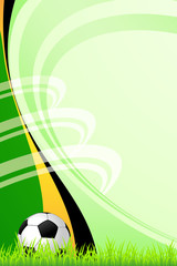 Soccer background