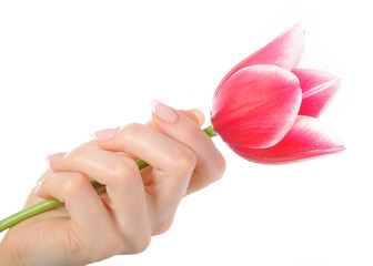 Beautiful hand with perfect french manicure with tulip