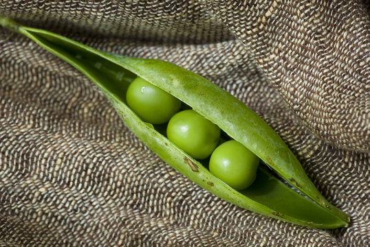 spilla verde