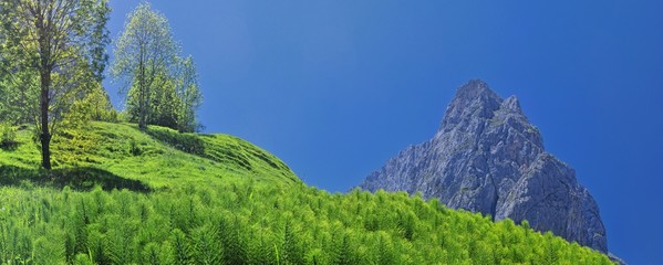Camino de  Bulnes