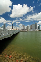 Miami Biscayne Bay and Skyline