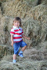 Naklejka na ściany i meble little boy in the hay