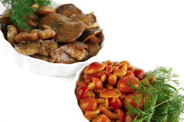 orange and white mushroom