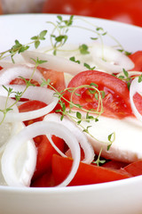 Mozzarella mit Tomaten als Salat